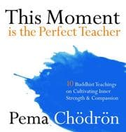 Tapa de This Moment Is the Perfect Teacher