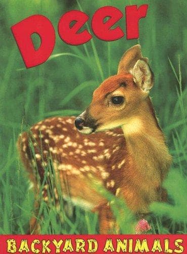 Tapa de Deer (Backyard Animals)
