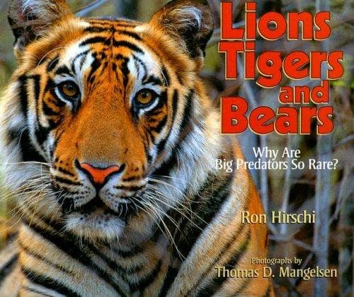 Tapa de Lions, Tigers, and Bears