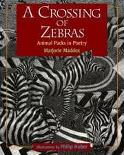 Tapa de A Crossing of Zebras