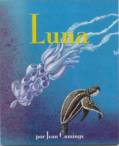Tapa de Luna