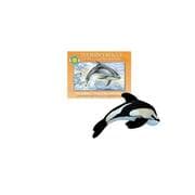 Tapa de Dolphin's Rescue