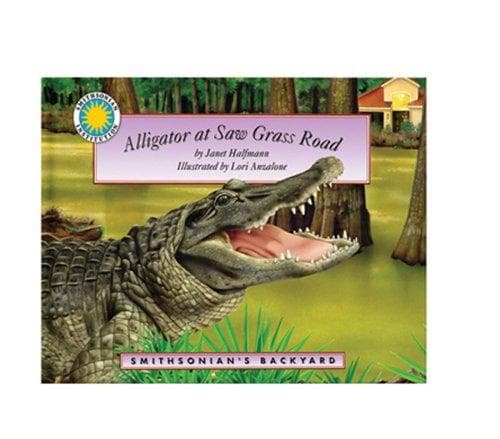 Tapa de Alligator at Saw Grass Road