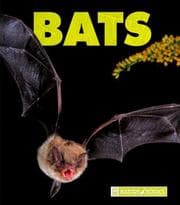 Tapa de Bats (New Naturebooks)