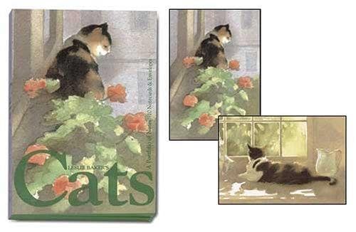 Tapa de PF67 - Cats Notecard Portfolio