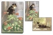 Tapa de PF67 - Cats Notecard Portfolio