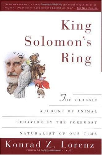 Tapa de King Solomon's ring