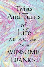 Tapa de Twists And Turns of Life (Book 6)