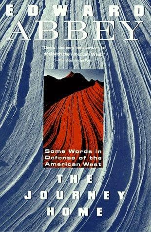Tapa de The journey home
