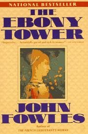 Tapa de The ebony tower