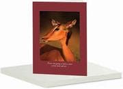 Tapa de Pssst... Greeting Card