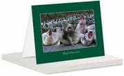 Tapa de Happy Birthday Greeting Card