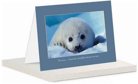 Tapa de Sorry Greeting Card