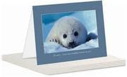 Tapa de Sorry Greeting Card