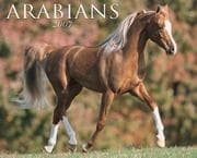 Tapa de Arabians 2007 Calendar