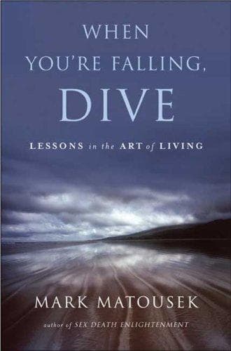Tapa de The When You're Falling, Dive