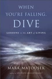 Tapa de The When You're Falling, Dive