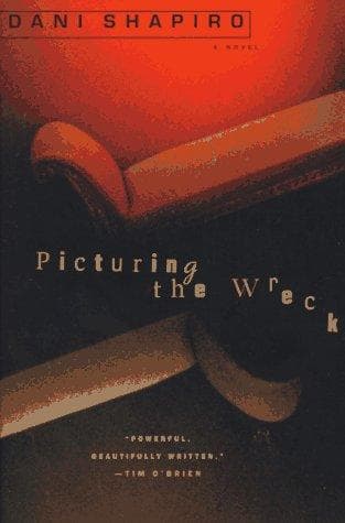 Tapa de Picturing the wreck
