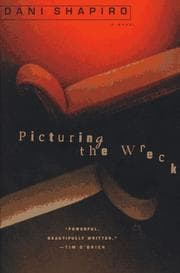 Tapa de Picturing the wreck