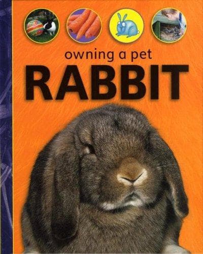 Tapa de Rabbit (Owning a Pet)