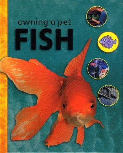 Tapa de Fish (Owning a Pet)