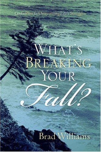 Tapa de What's Breaking Your Fall?