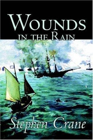 Tapa de Wounds in the Rain