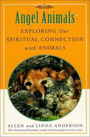 Tapa de Angel Animals