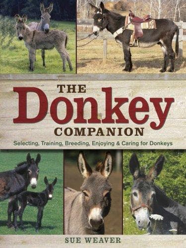 Tapa de The donkey companion