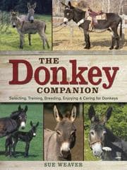 Tapa de The donkey companion