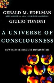 Tapa de A universe of consciousness