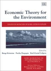 Tapa de Economic theory for the environment