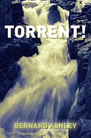 Tapa de Torrent! (Gr8reads)