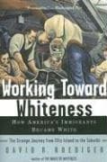 Tapa de Working Toward Whiteness: How America's Immigrants Became White