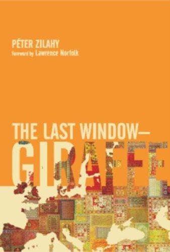 Tapa de The Last Window