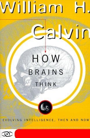 Tapa de How Brains Think