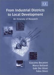 Tapa de From industrial districts to local development