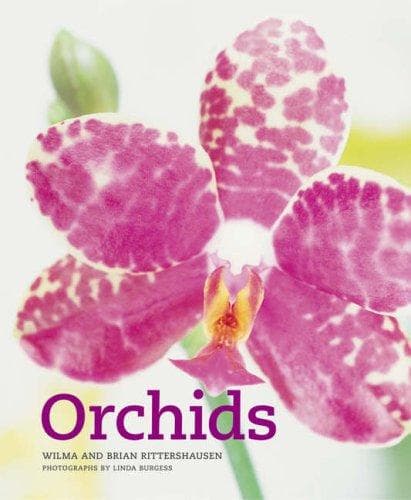 Tapa de Orchids