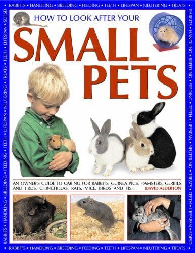 Tapa de How to look after your small pets