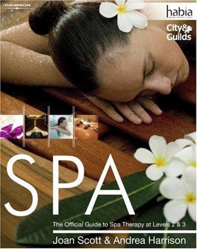 Tapa de Spa