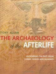Tapa de The Archaeology of the Afterlife