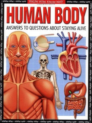Tapa de Human body
