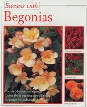 Tapa de Begonias