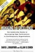 Tapa de Managing for excellence