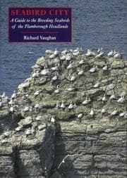 Tapa de Seabird City