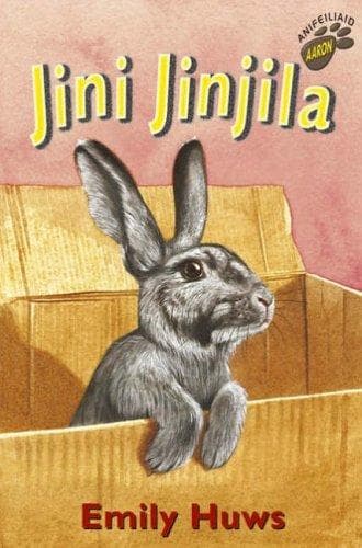 Tapa de Jini Jinjila