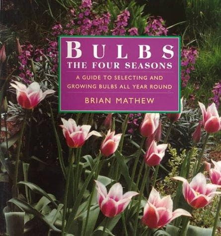 Tapa de Bulbs - The Four Seasons