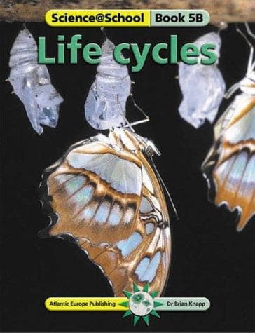 Tapa de Life cycles