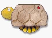 Tapa de Tortoise (Zippy Books)