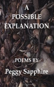 Tapa de A Possible Explanation